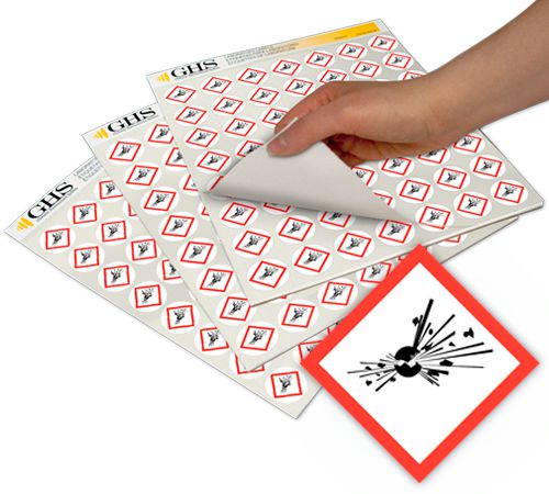 DV_ZoomOriginal_I_1403207.jpg