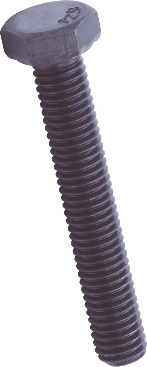 DV_ZoomOriginal_I_1435932.jpg