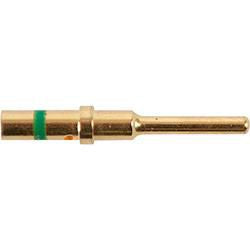 DV_ZoomOriginal_I_1445752_WB.jpg