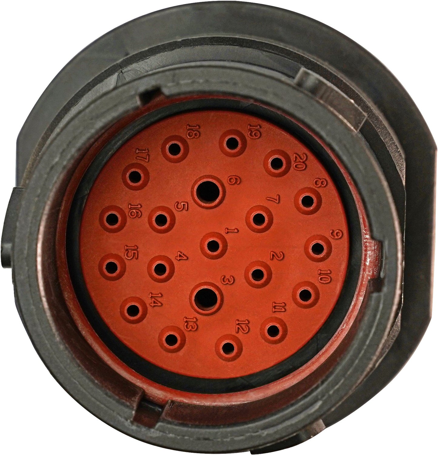 DV_ZoomOriginal_I_1445784_SD1.jpg