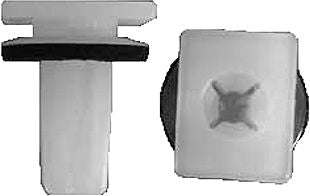 DV_ZoomOriginal_I_1446671.jpg