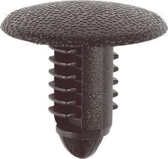 DV_ZoomOriginal_I_1481989.jpg