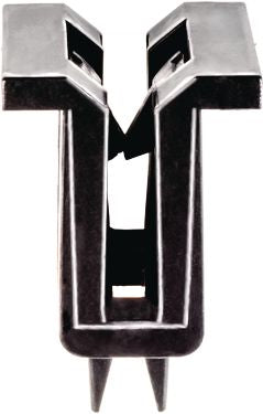 DV_ZoomOriginal_I_1481991.jpg