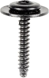 DV_ZoomOriginal_I_1494005.jpg
