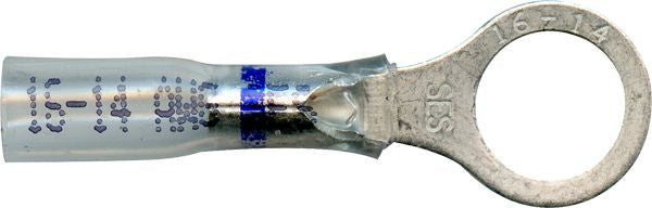 DV_ZoomOriginal_I_1495169.jpg