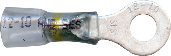 DV_ZoomOriginal_I_1495172.jpg