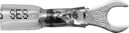 DV_ZoomOriginal_I_1495176.jpg