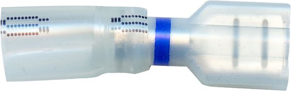 DV_ZoomOriginal_I_1495183.jpg