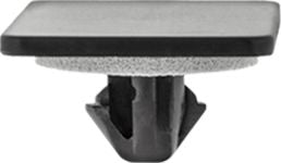 DV_ZoomOriginal_I_1528532.jpg