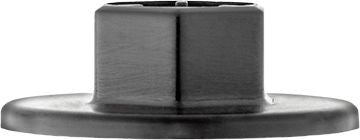 DV_ZoomOriginal_I_1531039.jpg