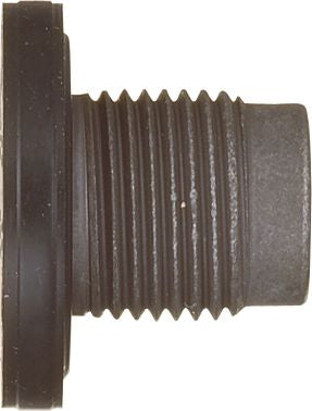 DV_ZoomOriginal_I_15550.jpg