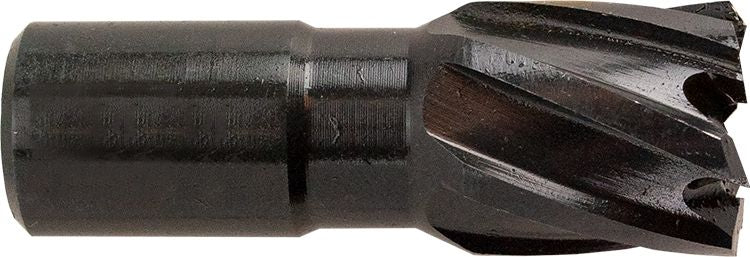 DV_ZoomOriginal_I_1574604.jpg