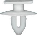DV_ZoomOriginal_I_1585864.jpg