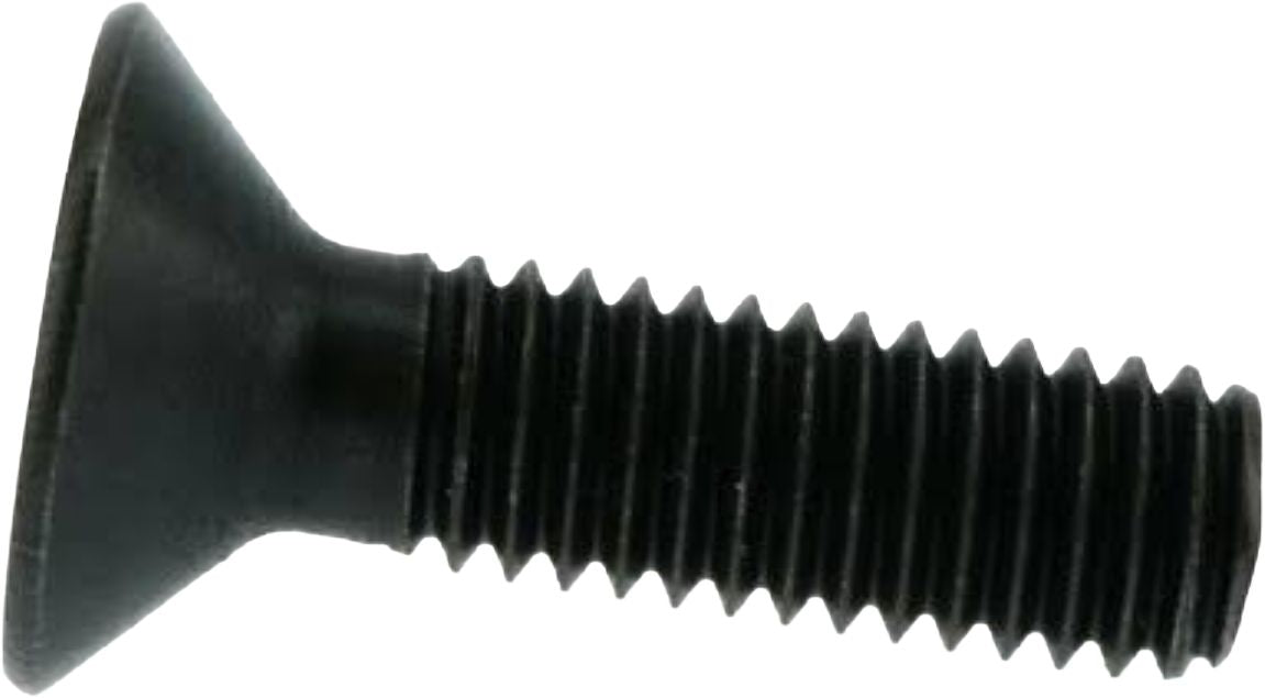 DV_ZoomOriginal_I_1595068.jpg