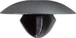 DV_ZoomOriginal_I_1596987.jpg