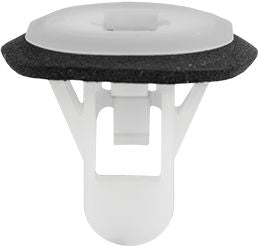 DV_ZoomOriginal_I_1630782.jpg