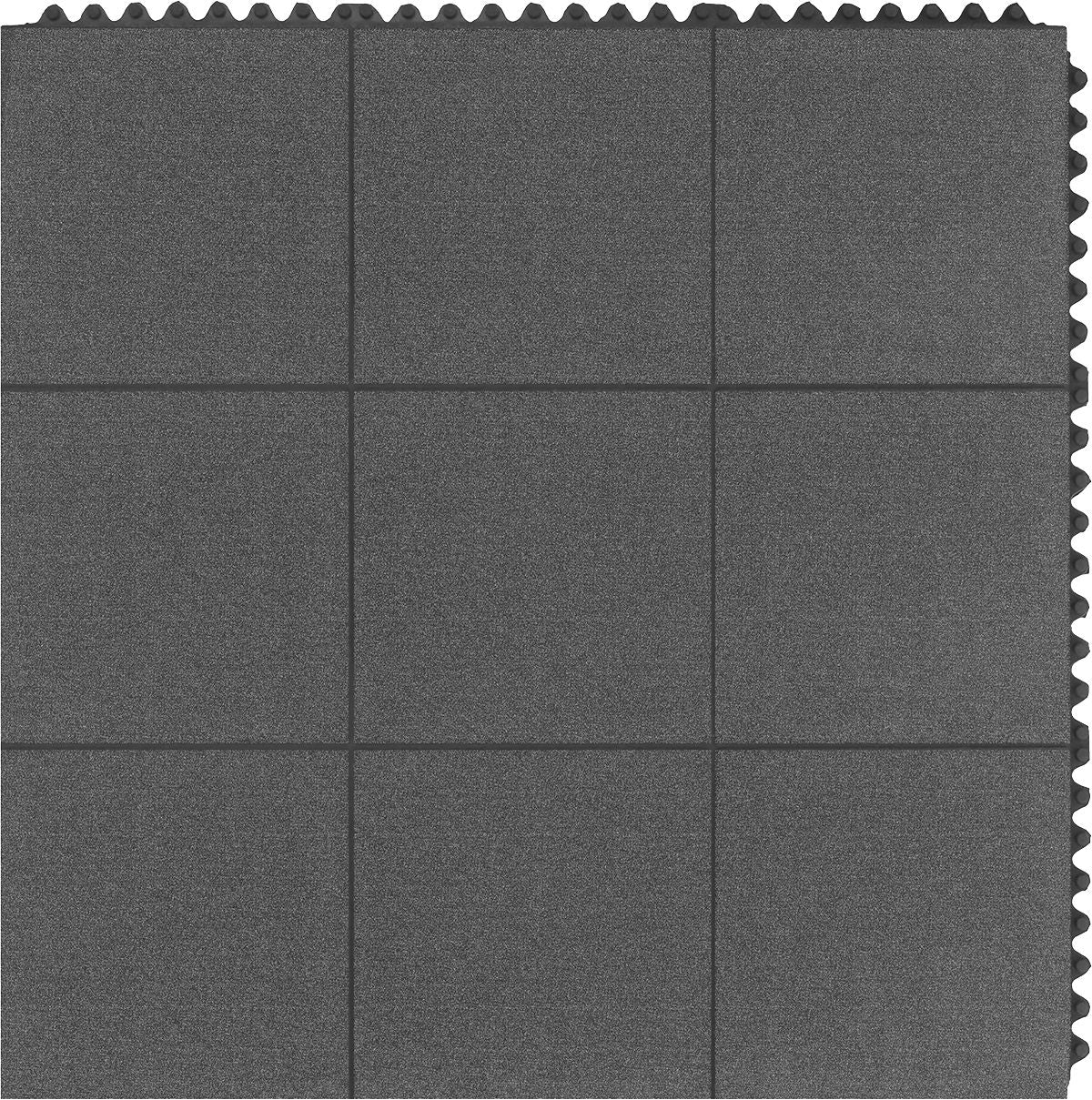 DV_ZoomOriginal_I_1649879.jpg