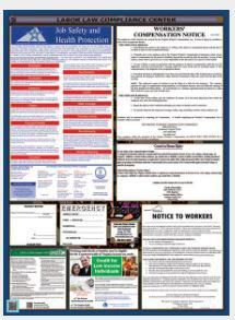 DV_ZoomOriginal_I_1670762_WB.jpg