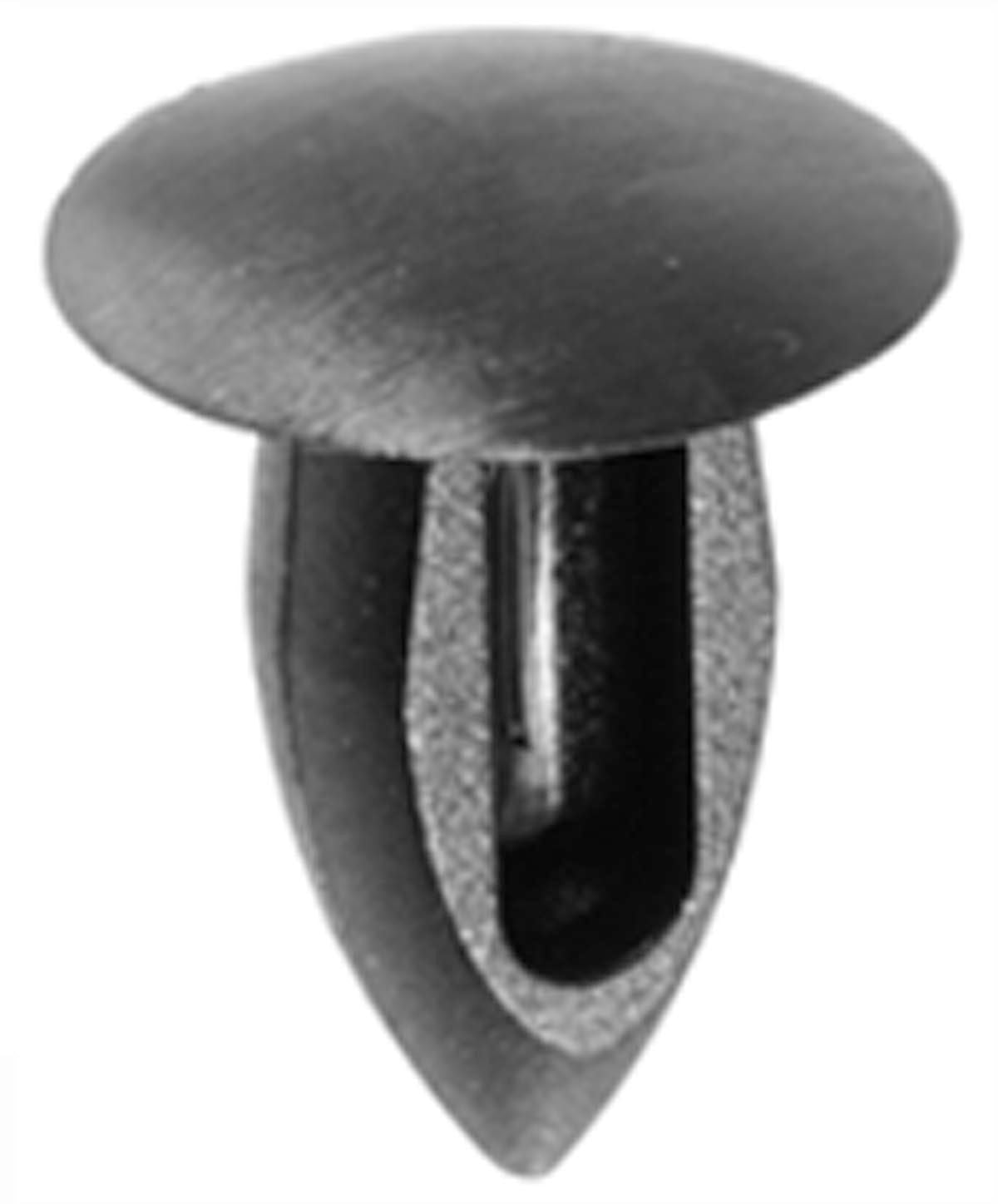 DV_ZoomOriginal_I_1679104.jpg