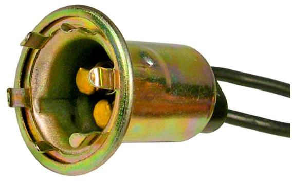 DV_ZoomOriginal_I_1679144.jpg