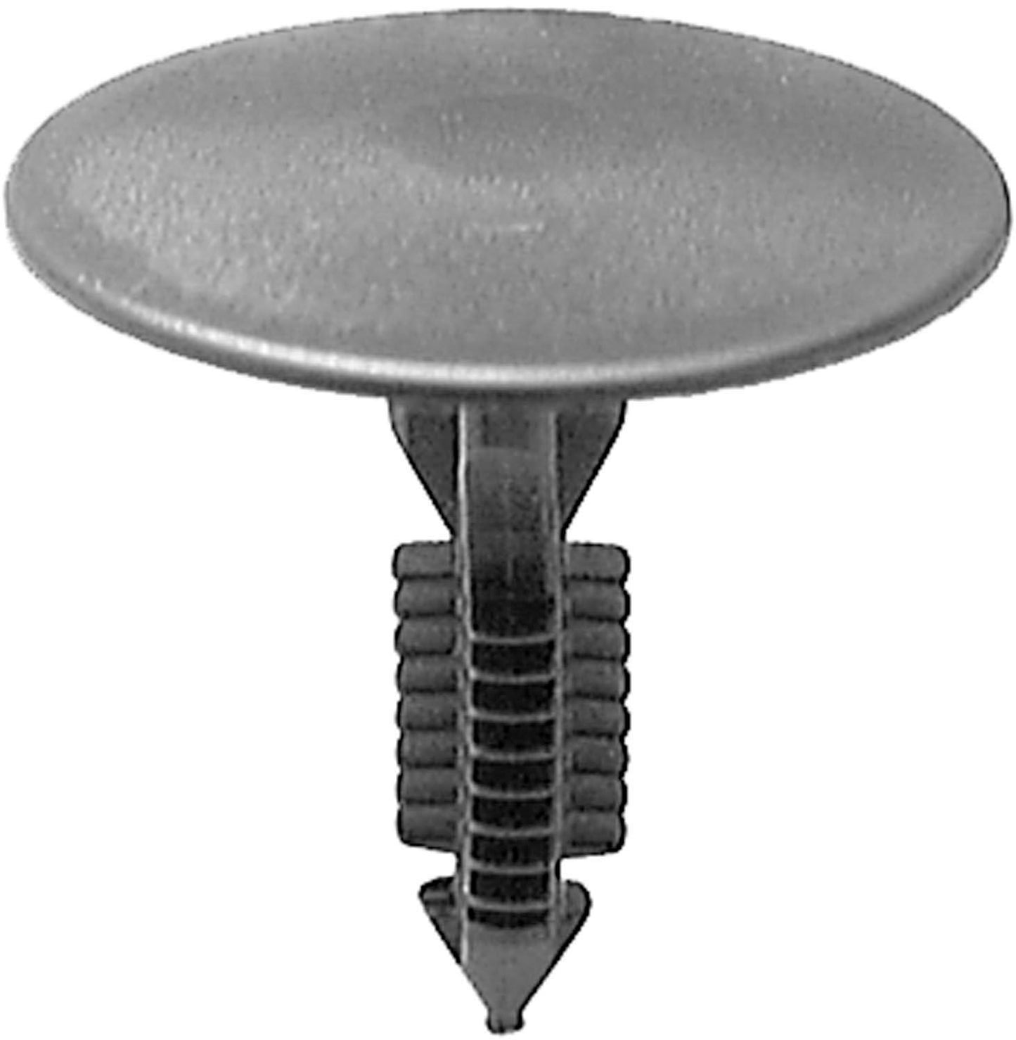 DV_ZoomOriginal_I_1679273.jpg