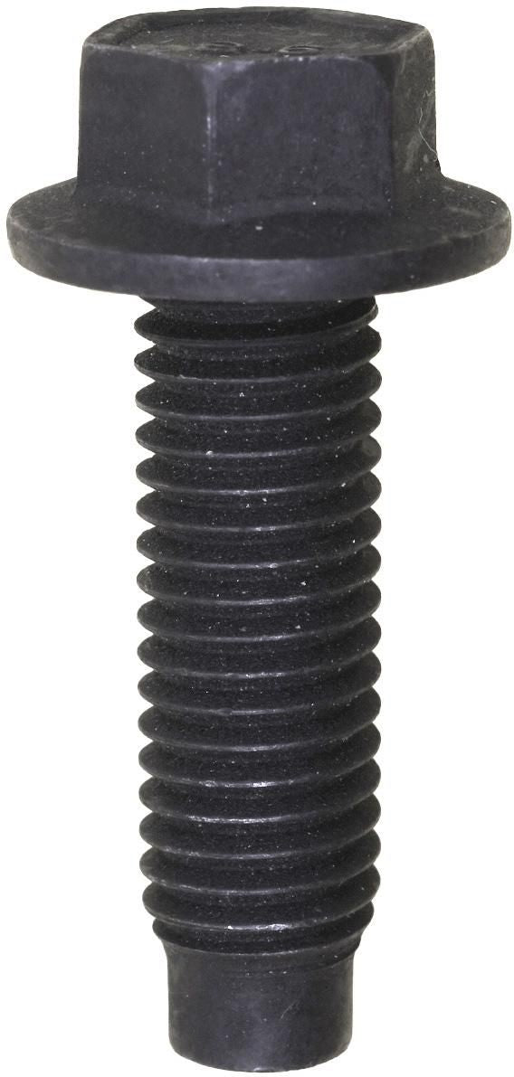 DV_ZoomOriginal_I_1679292.jpg