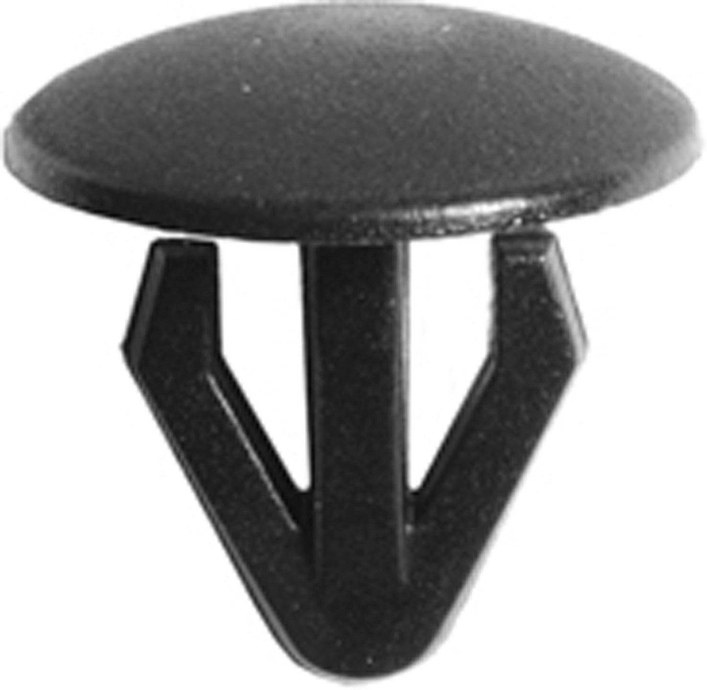 DV_ZoomOriginal_I_1679441.jpg