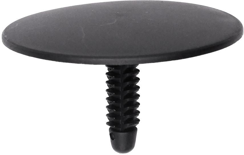 DV_ZoomOriginal_I_1679485.jpg