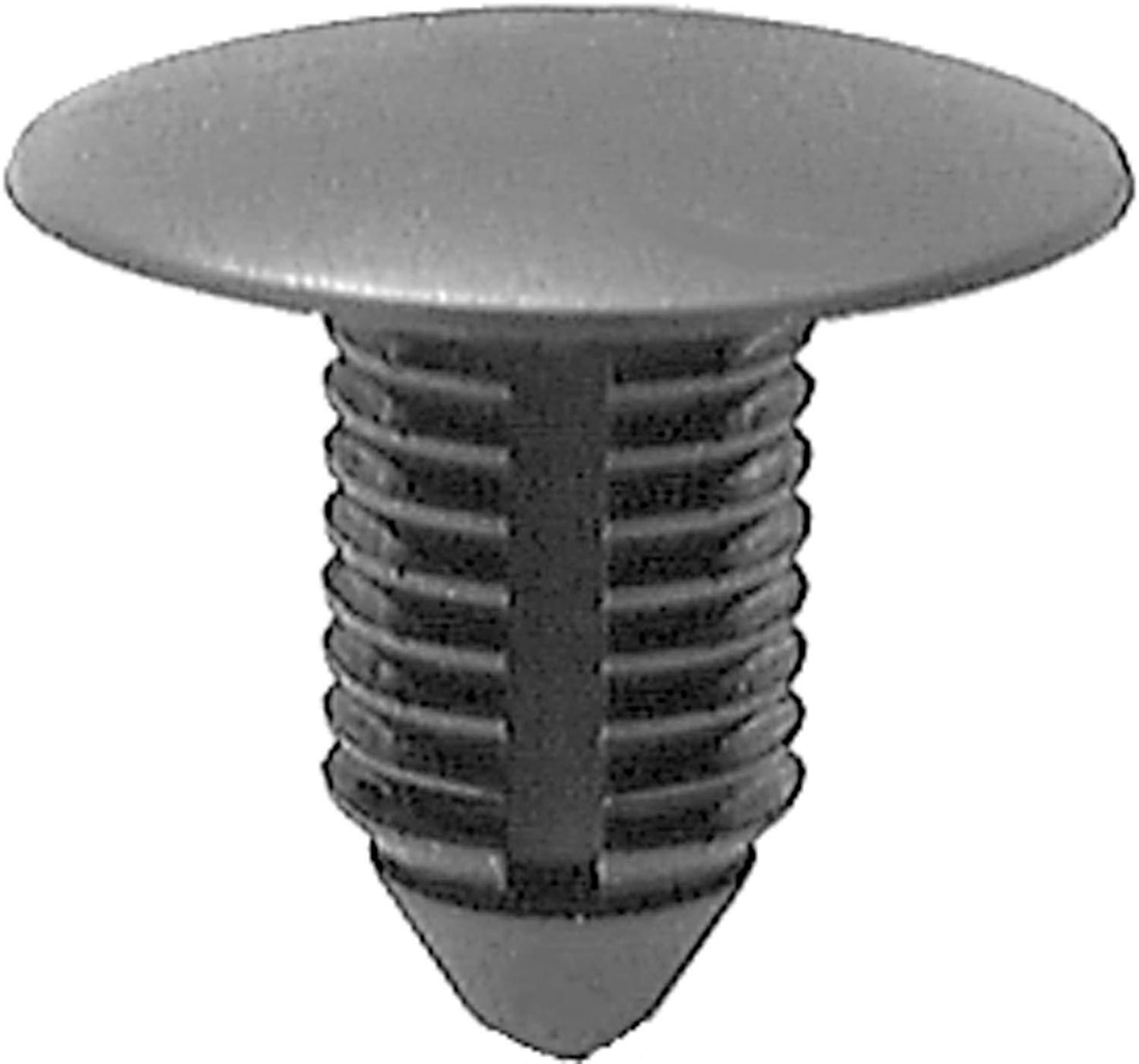 DV_ZoomOriginal_I_1679527.jpg