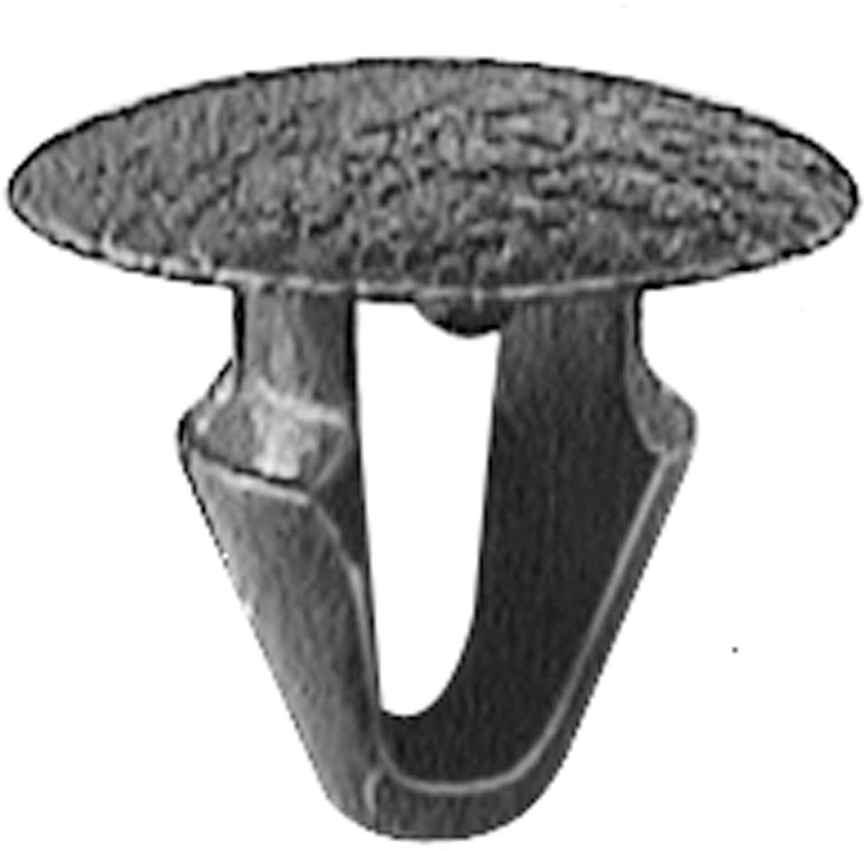 DV_ZoomOriginal_I_1679771.jpg