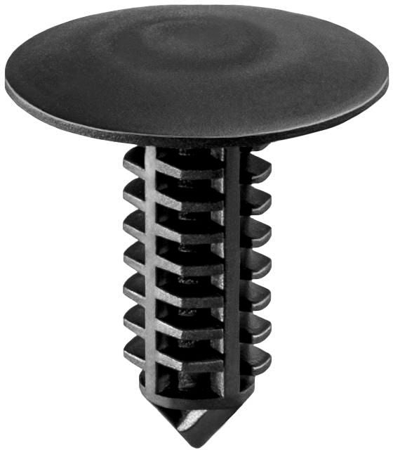 DV_ZoomOriginal_I_1679858.jpg
