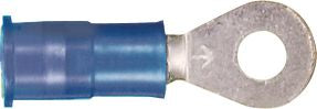 DV_ZoomOriginal_I_25261.jpg