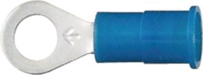 DV_ZoomOriginal_I_25262.jpg