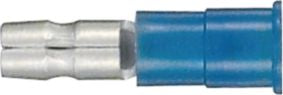 DV_ZoomOriginal_I_25271.jpg