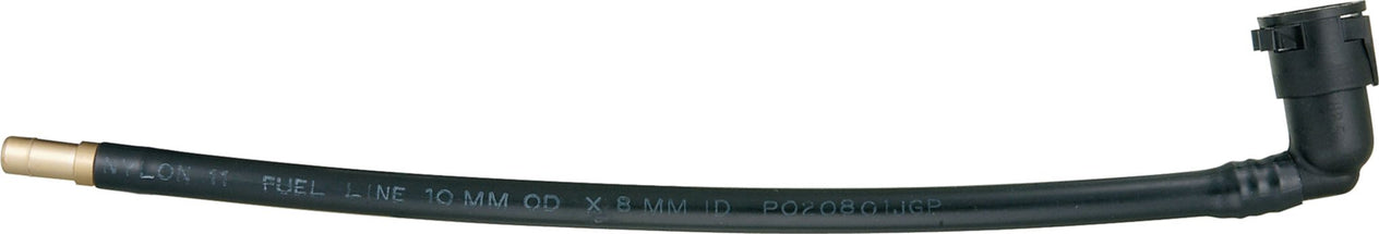DV_ZoomOriginal_I_29276.jpg