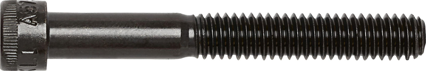 DV_ZoomOriginal_I_3446.jpg