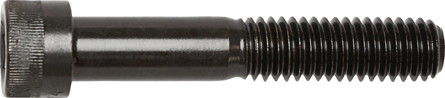 DV_ZoomOriginal_I_3458.jpg