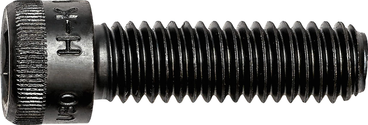 DV_ZoomOriginal_I_3532.jpg