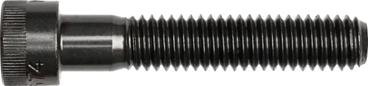 DV_ZoomOriginal_I_3535.jpg