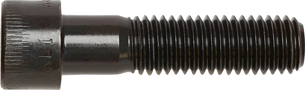DV_ZoomOriginal_I_3565.jpg