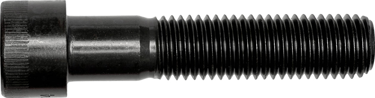 DV_ZoomOriginal_I_3576.jpg