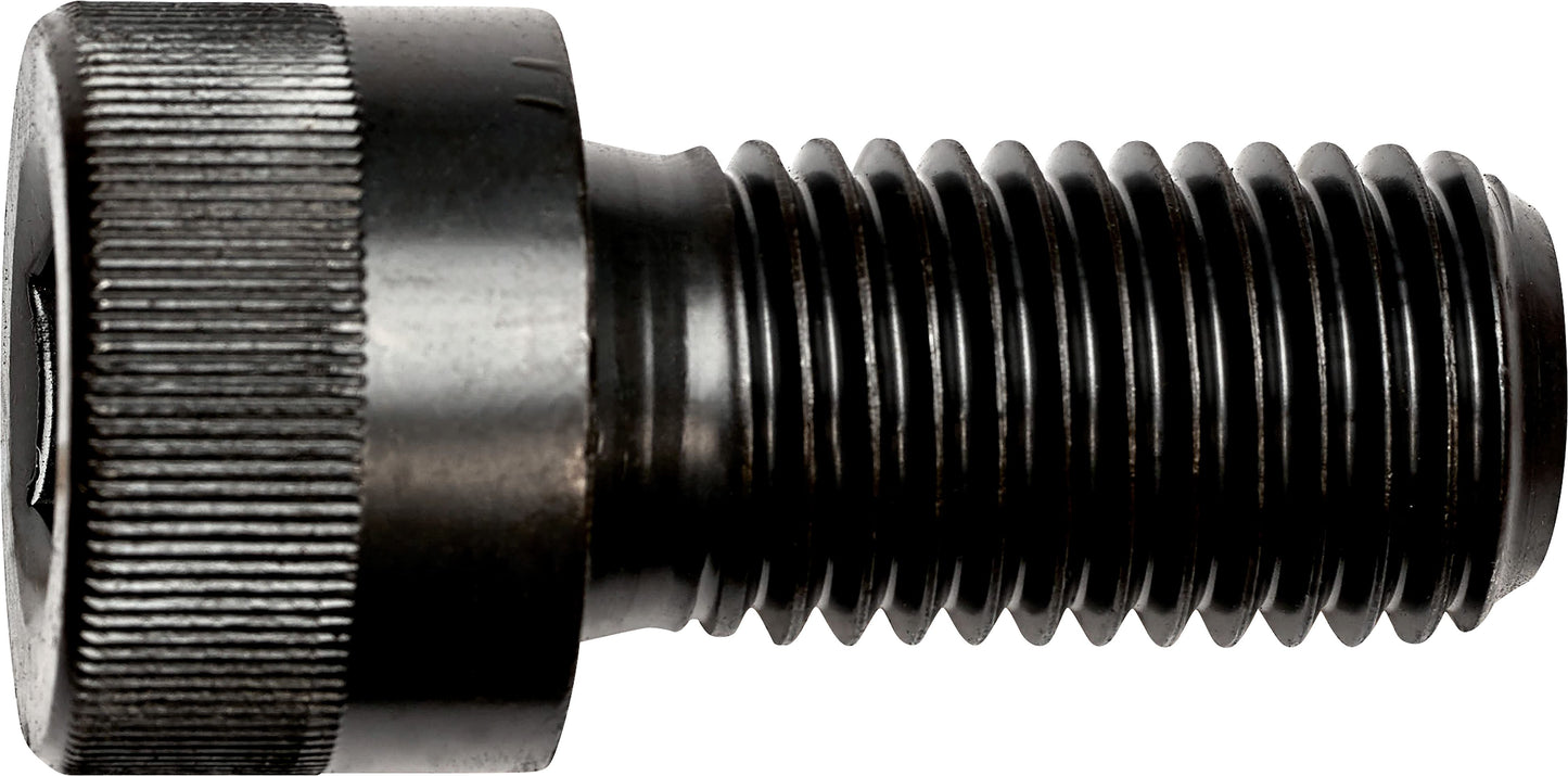 DV_ZoomOriginal_I_3591.jpg