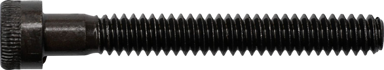 DV_ZoomOriginal_I_3595.jpg