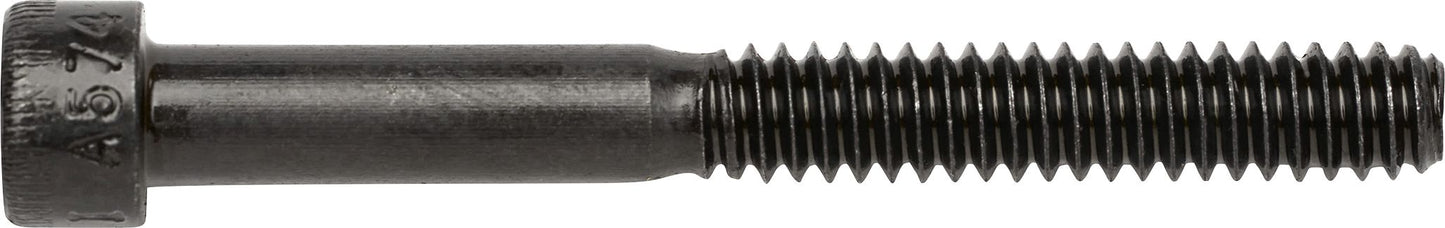 DV_ZoomOriginal_I_3596.jpg