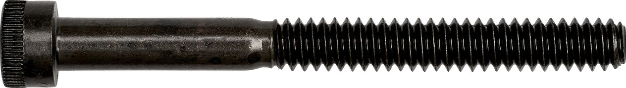 DV_ZoomOriginal_I_3597.jpg