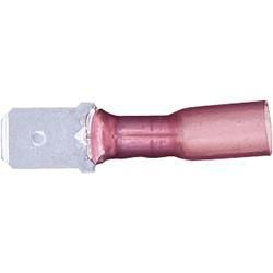 DV_ZoomOriginal_I_41655_WB.jpg