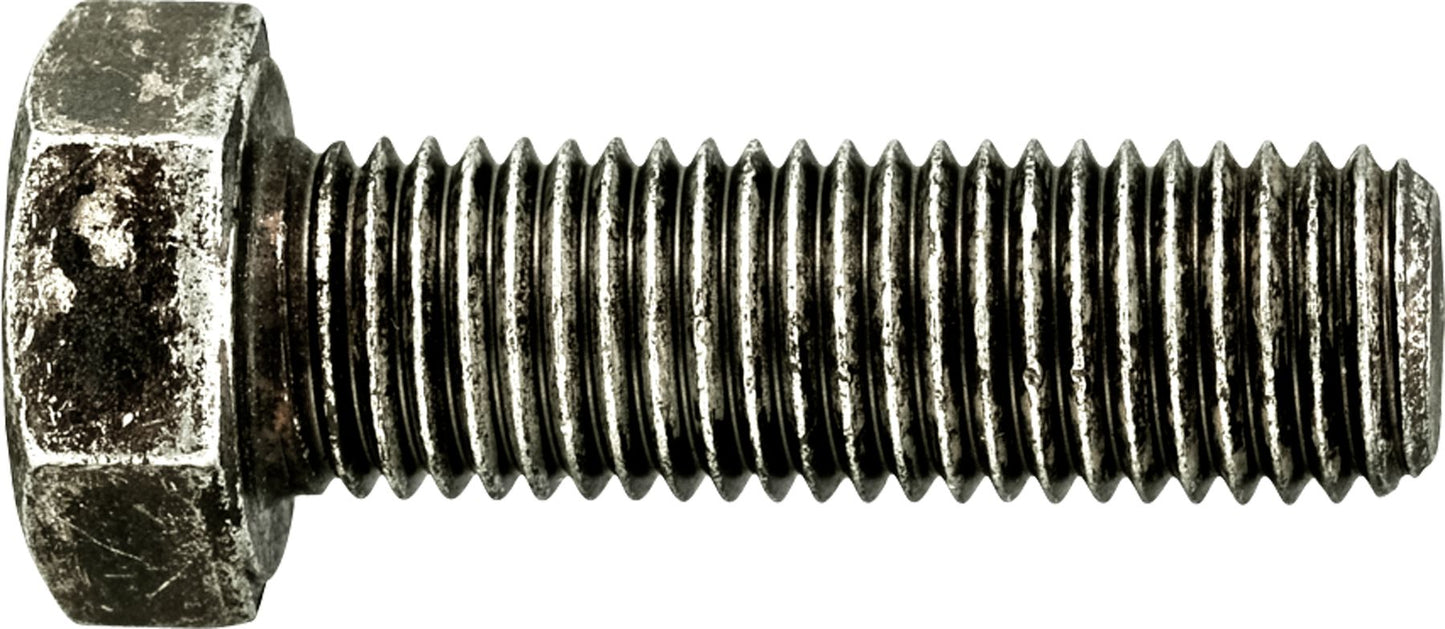 DV_ZoomOriginal_I_42261.jpg