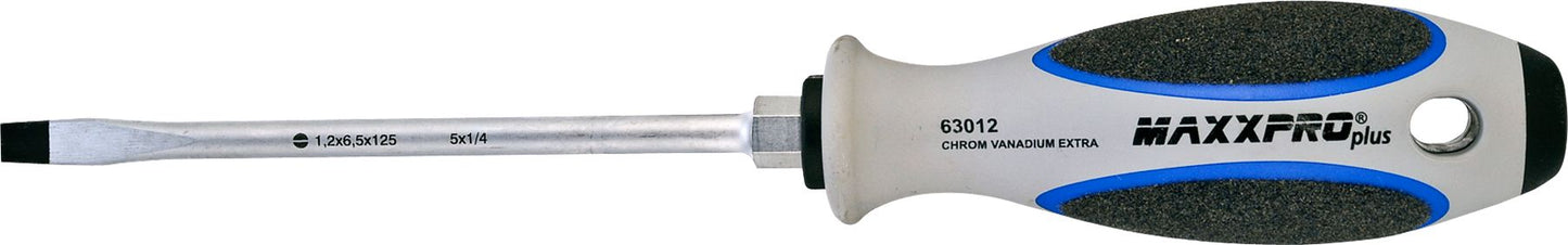 DV_ZoomOriginal_I_42342.jpg
