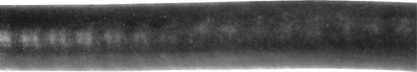 DV_ZoomOriginal_I_45121.jpg