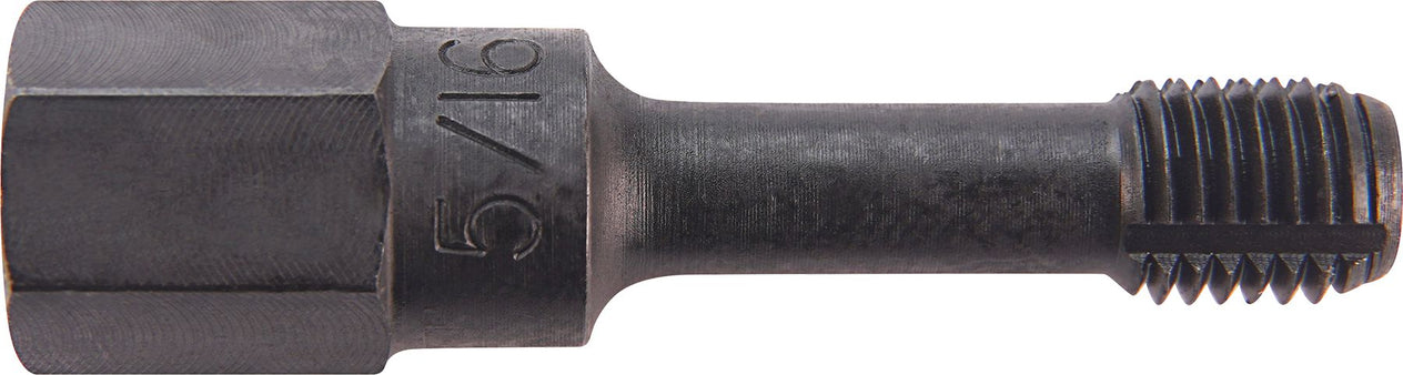 DV_ZoomOriginal_I_50808.jpg